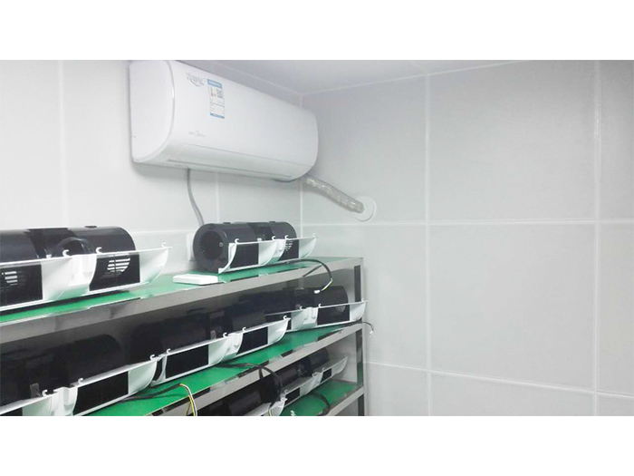 ���ʾ�����